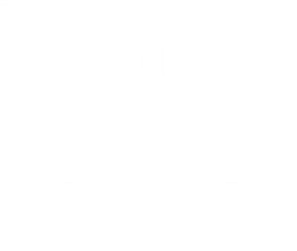 Naxos Audiobooks logo